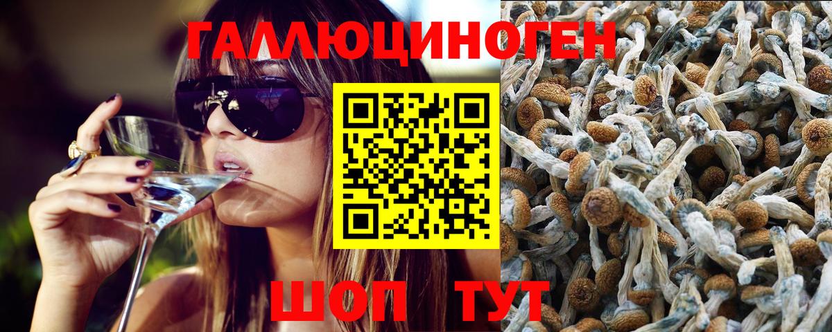 Галлюциногенные грибы прущие грибы  Вход с VPN  Кирово-Чепецк 