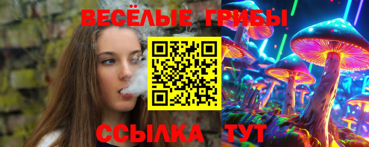 Галлюциногенные грибы Psilocybe Кирово-Чепецк